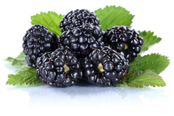 黑莓<strong>果实</strong>黑莓浆果新鲜<strong>水果</strong>分离
