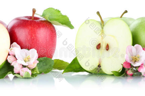 苹果、苹果、水果、红绿色、切片、白色