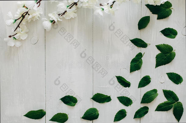 背景上白色木桌上的绿叶和<strong>樱花枝</strong>。 平躺，俯视
