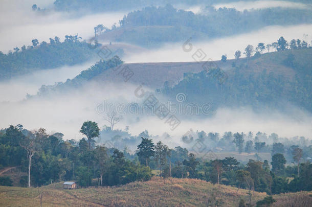 清晨的山景，房子，树木和雾在恩邦。 泰国梅洪子省