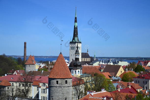 和城市爱沙尼亚房子中世纪
