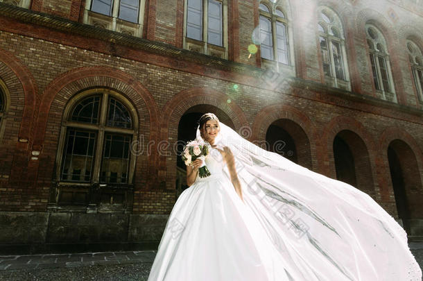 新娘穿着令人惊叹的婚纱的大气照片