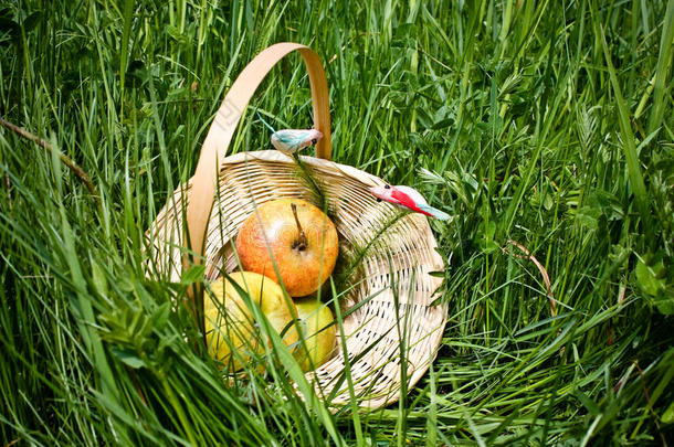 苹果，篮子里的苹果，野餐