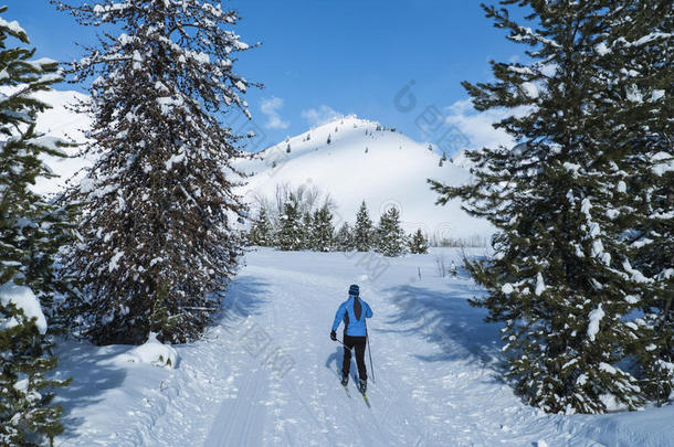 越野滑雪者在一个完美的冬季