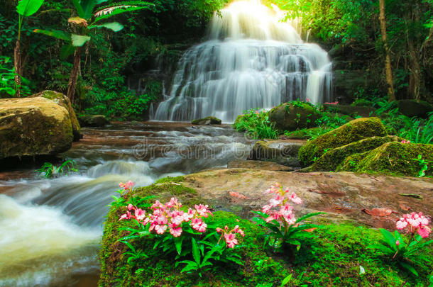 泰国森林深处的瀑布