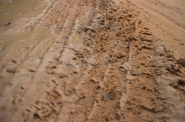 地面视野水平MCU泥泞丛林道路与新鲜车辆轨道