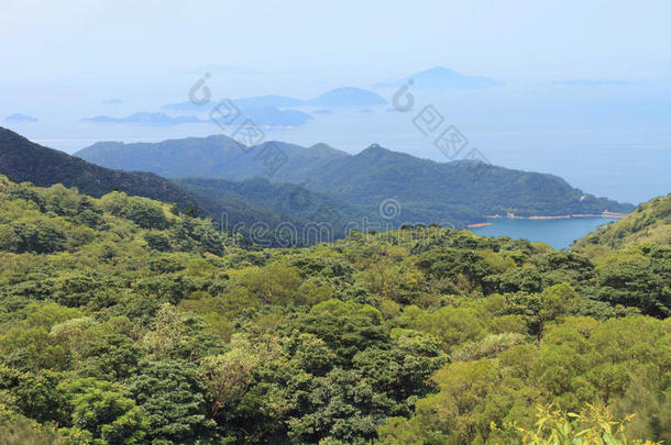 瓷器钟海岸乡村绿色