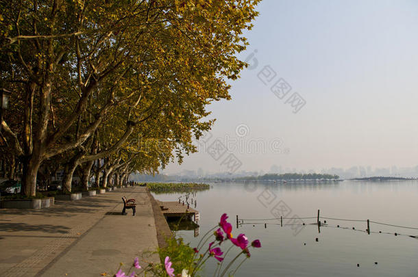 秋天美丽的瓷器杭州湖