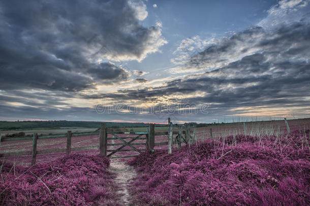 日落时分，美丽的英国乡村风景越过田野