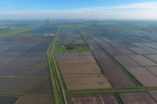 淹水的稻田。 田间种植水稻的农艺方法。