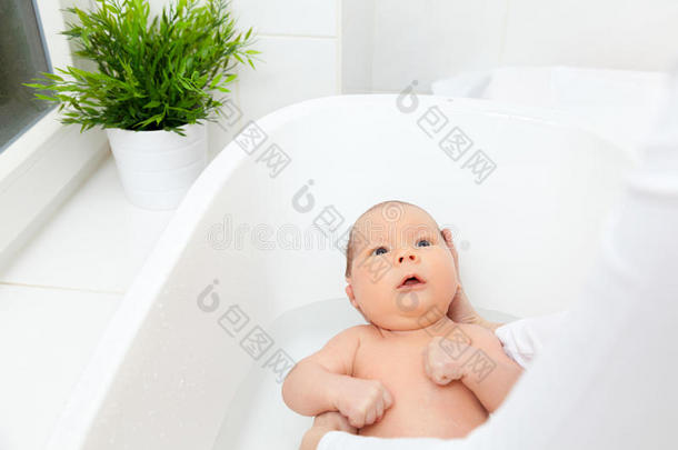 一个可爱的小新生儿洗澡时间