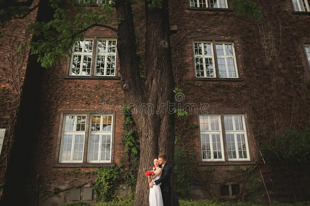在<strong>新婚</strong>的日子里，美丽的<strong>新婚</strong>夫妇在美丽的植物墙附近摆姿势，灌木丛中的树木