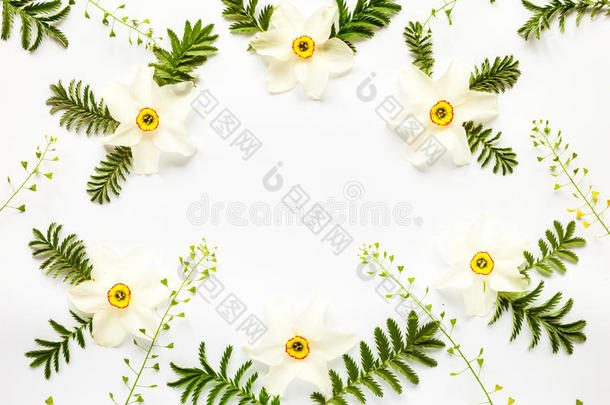 新鲜的水仙花，叶子和Hepherd的钱包在白色