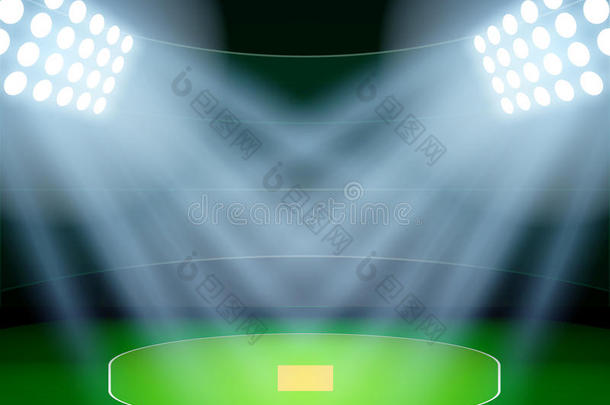 海报背景夜间板球体育场在聚光灯下。 矢量