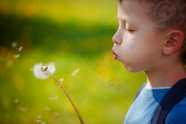 可爱的小男孩在春天的花园里吹蒲公英。 春天。