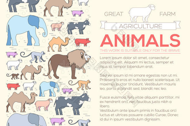 狮子、猴子、猴子、骆驼、大象、牛、猪、羊的动物概念。 矢量插图背景与奥斯曼