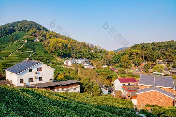 农业的农业美丽的建筑瓷器