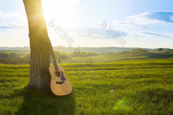 古典吉他靠在树干上