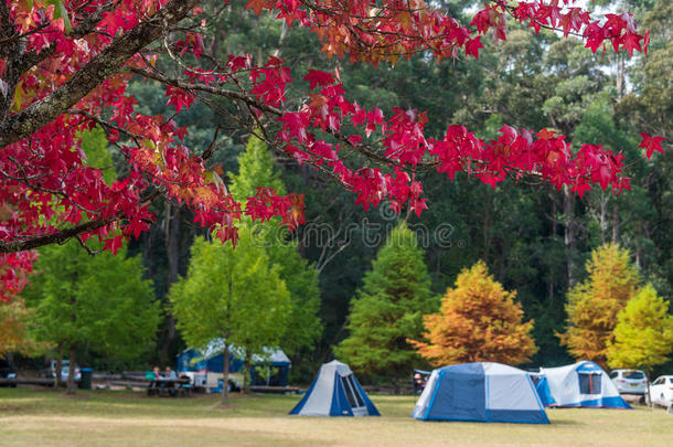 秋季露营背景与旅游露营帐篷
