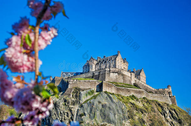 爱丁堡城堡与苏格兰的春天树