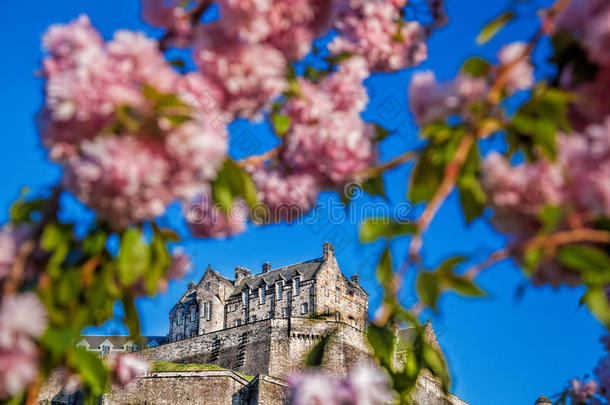 爱丁堡城堡与苏格兰的春天树