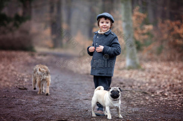 可爱的孩子，在森林里和小宠物狗玩耍