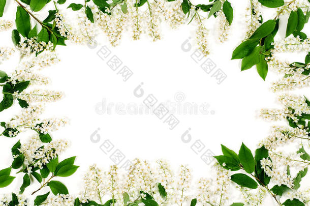 白色花朵和绿叶的框架隔离在白色上。 俯视图，平躺
