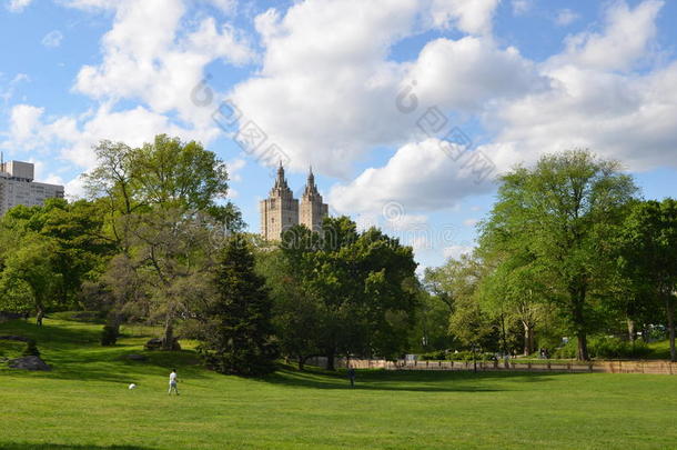美国纽约市中央公园。