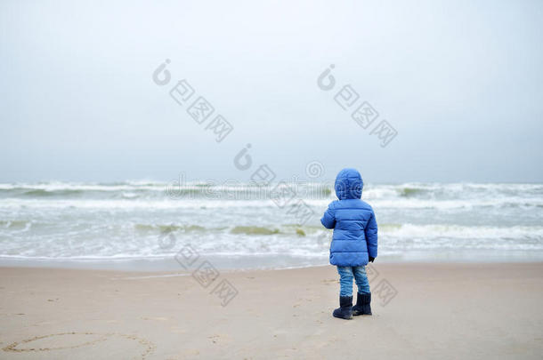 可爱的小女孩在冬天的<strong>海边玩耍</strong>
