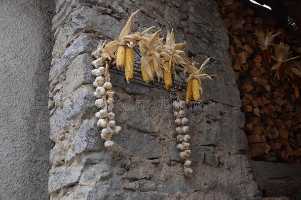 玉米在老城村兰戈特伦蒂诺，选择意大利最美丽的村庄之一。