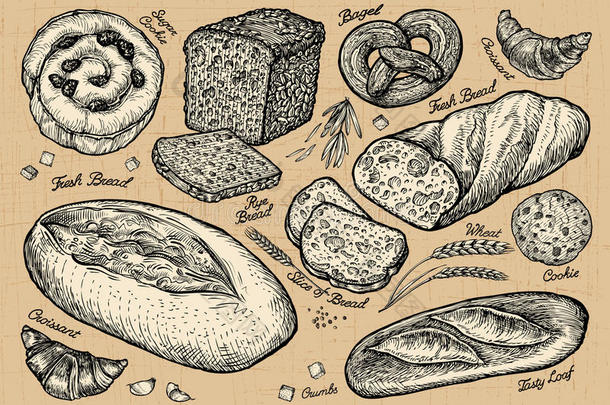 面包，面包店。 手绘食物草图。 矢量插图