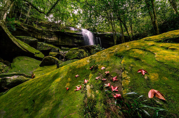 泰国深林瀑布普吉拉登国家公园