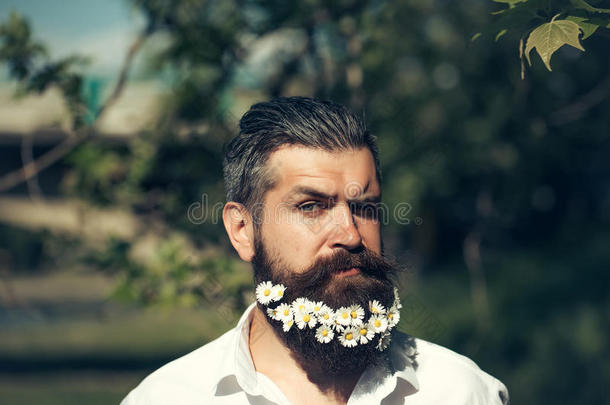 长着胡子的花的英俊男人