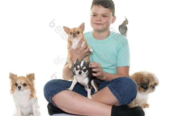 男孩和宠物