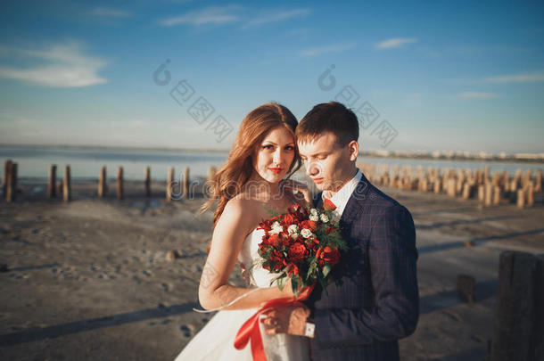 优雅时尚的幸福新婚夫妇，新娘，华丽的新郎在海和天空的背景