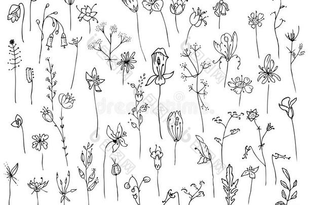 收集与风格化的森林花卉和草药分离在白色。 黑白剪影。