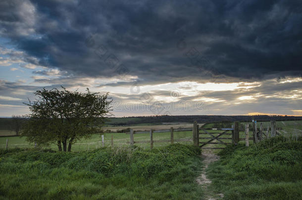 日落时田野上美丽的英国乡村景观