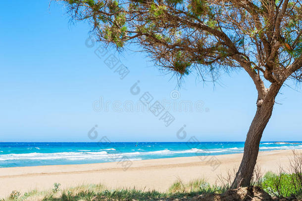 美丽的海滩，蔚蓝的大海，白沙和树木