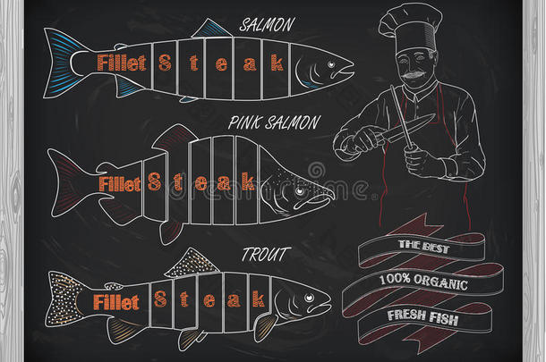 鲑鱼、鲑鱼和粉红色鲑鱼的美丽图案。 厨师和KN