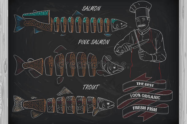 鲑鱼、鲑鱼和粉红色鲑鱼的美丽图案。 厨师和KN