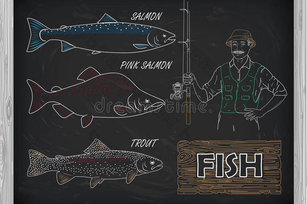 鲑鱼、鲑鱼和粉红色鲑鱼的美丽图案。 渔夫
