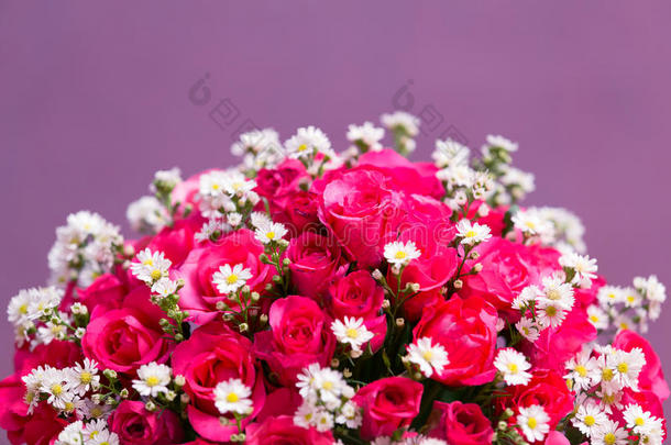 美丽的玫瑰和小雏菊花的背景。