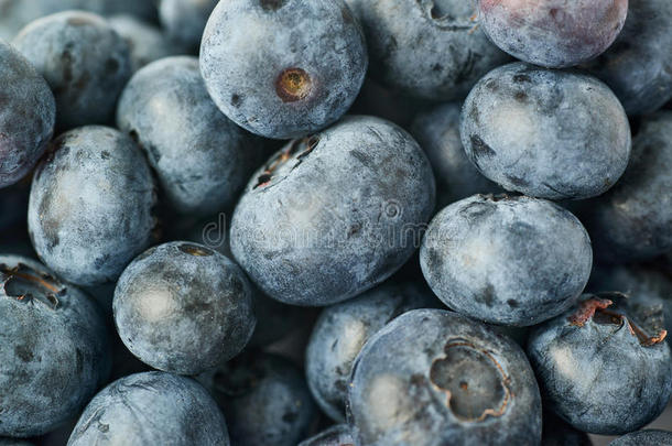 蓝莓或蓝莓作为纹理背景