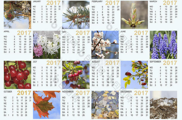 带有自然图像的2017日历：包含