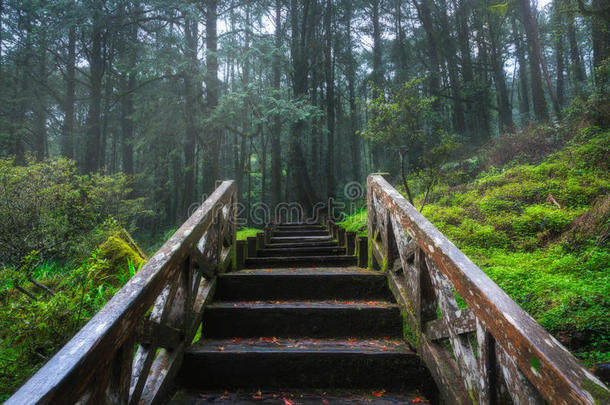 阿里山国家风景名胜区