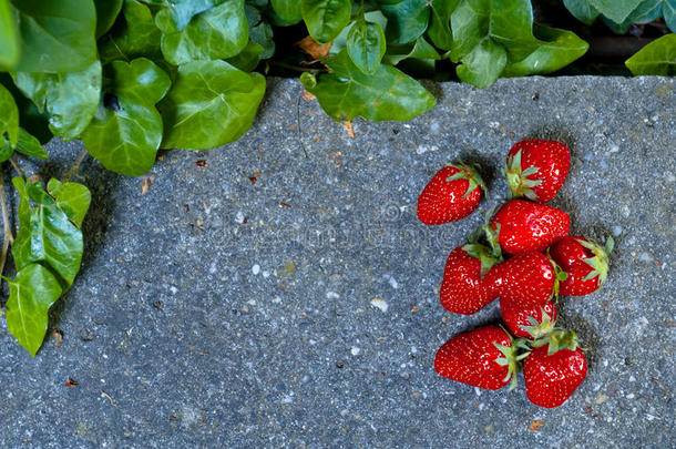 美味的成熟草莓在灰色的石头平躺着健康的水果