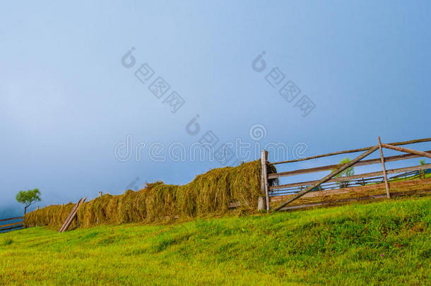 五彩缤纷的夏季景观