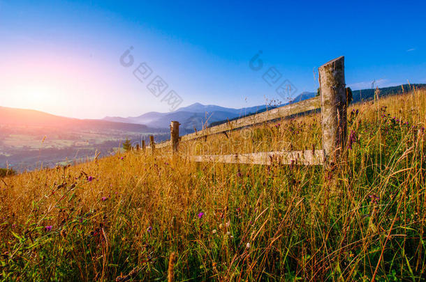 五彩缤纷的夏季景观