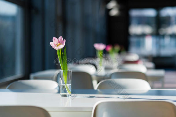 桌子上的花。 公共食品法庭花瓶里的郁金香。 学校食堂装饰鲜花。