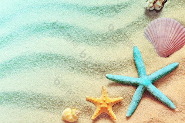 海滩沙子有贝壳和海星